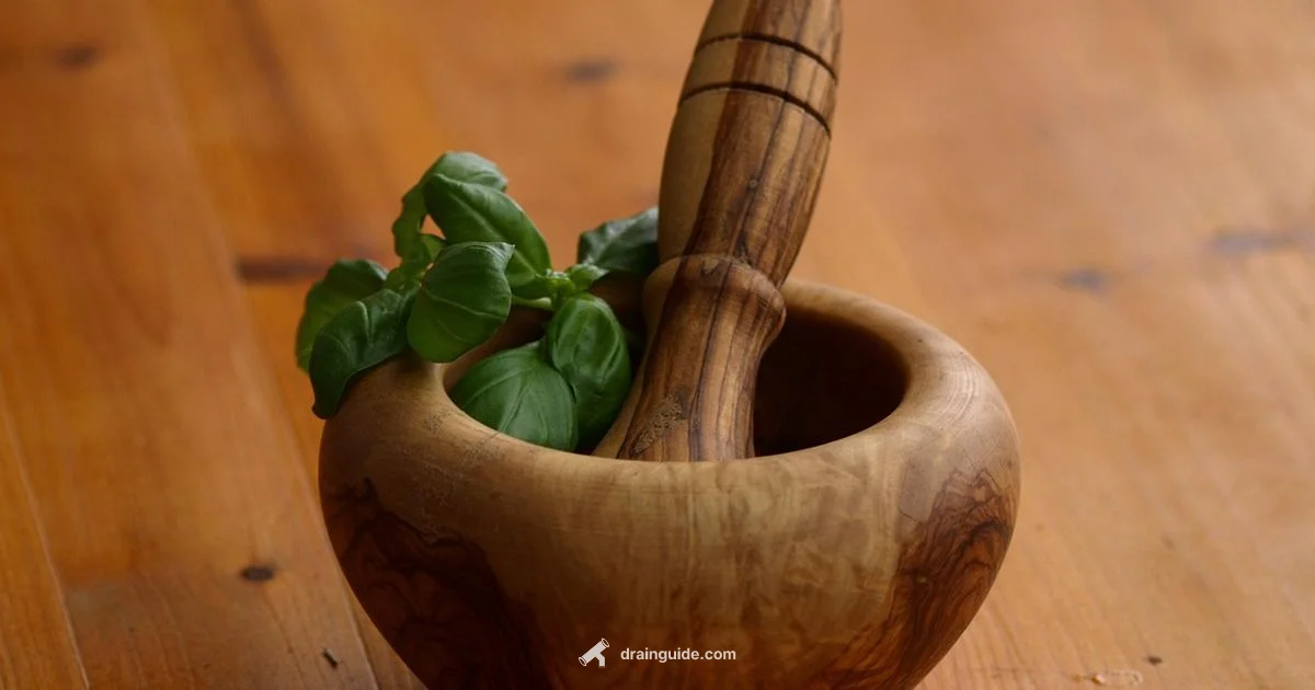 Drain Mastery - Drain Guide