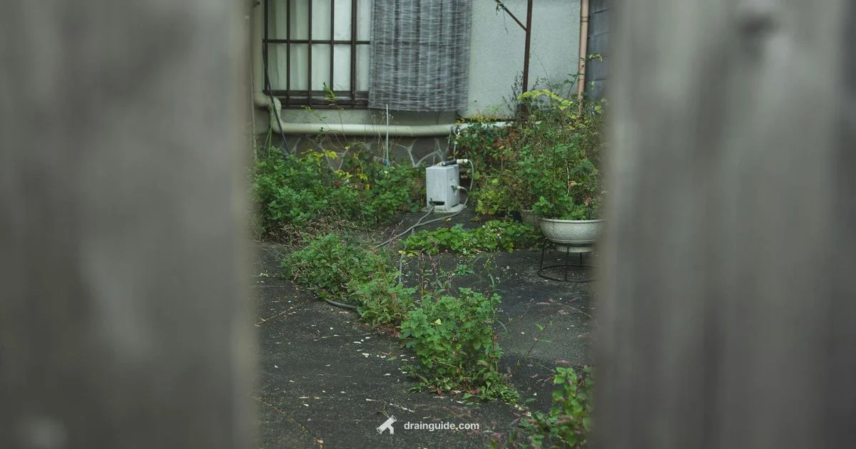 Backyard Drainage Backyard Drainage - Drain Guide