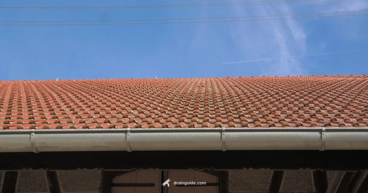 Gutter and Drain Pipe - Drain Guide