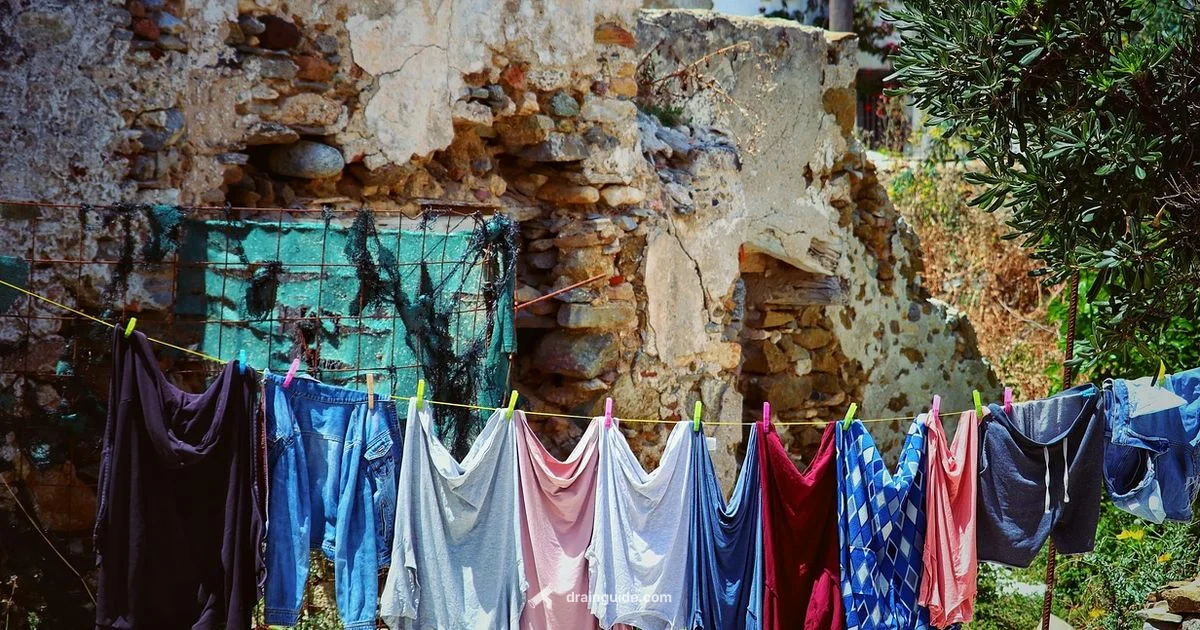 Laundry Drain Height Guide - Drain Guide