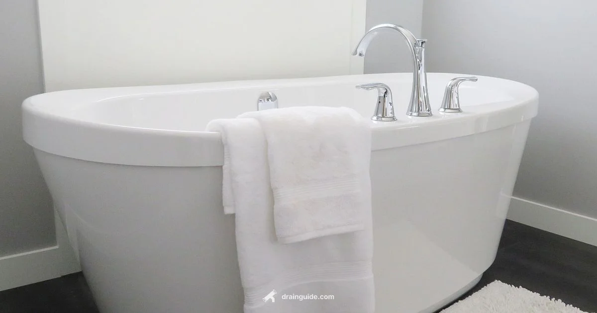 Bathtub Drain Trap - Drain Guide