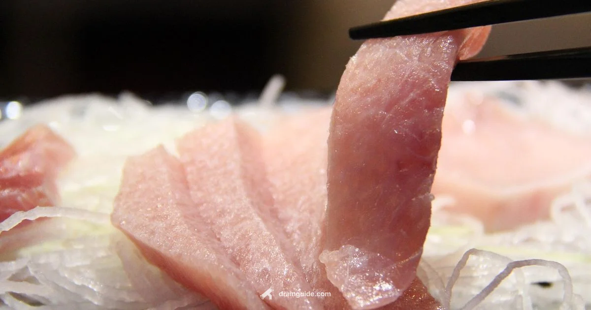 Drain Tuna Can - Drain Guide