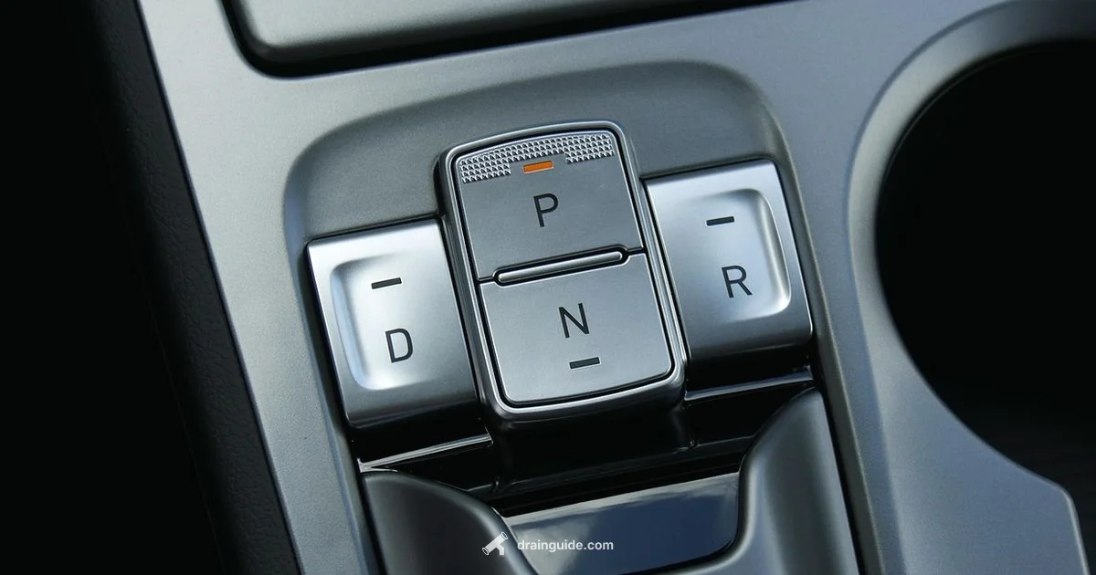 Drain & Fill Cost - Drain Guide