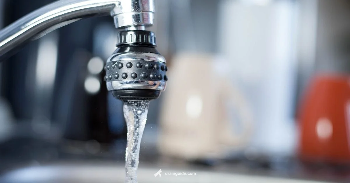 Drain Odor Fix - Drain Guide