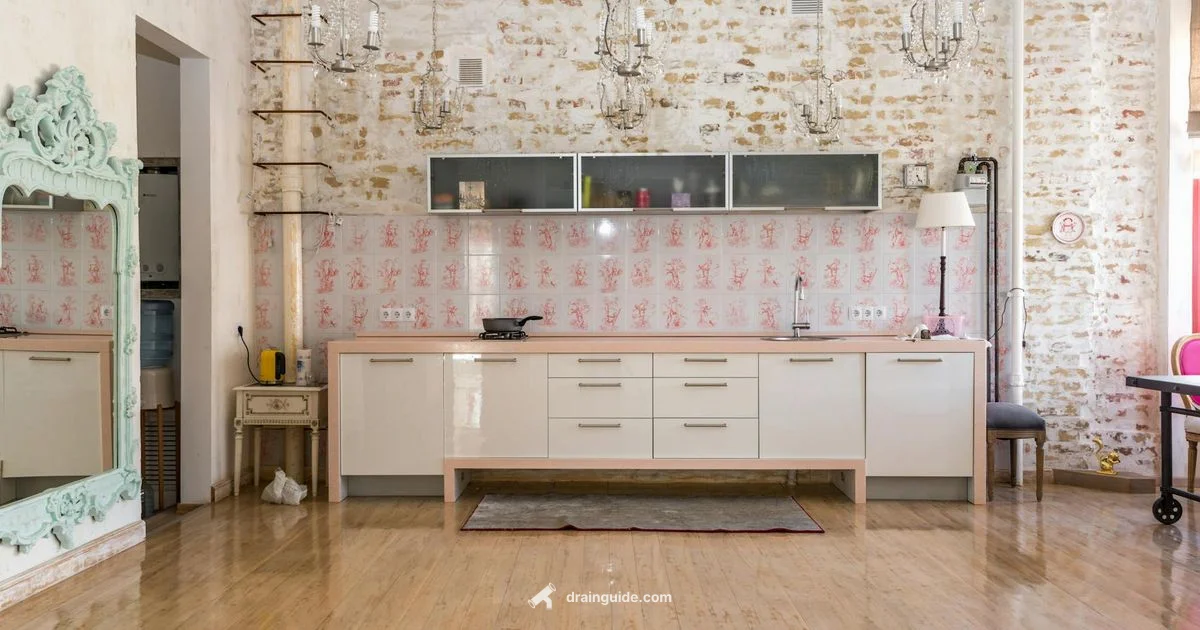 Drain Mechanics - Drain Guide