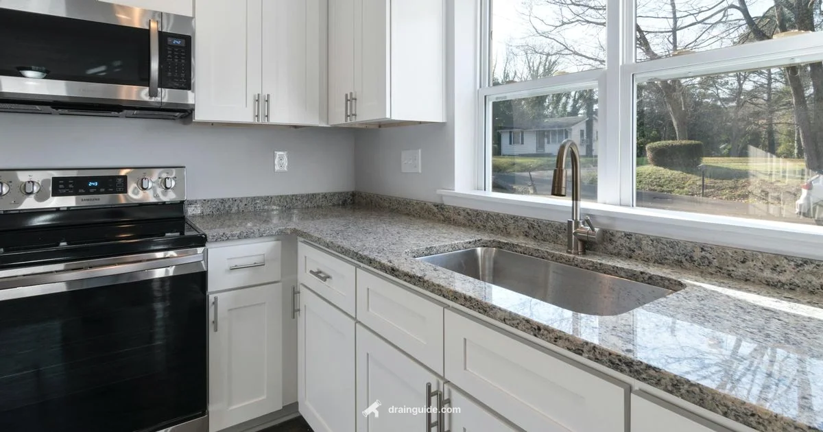 Sink Drain Snake Sink Drain Snake - Drain Guide