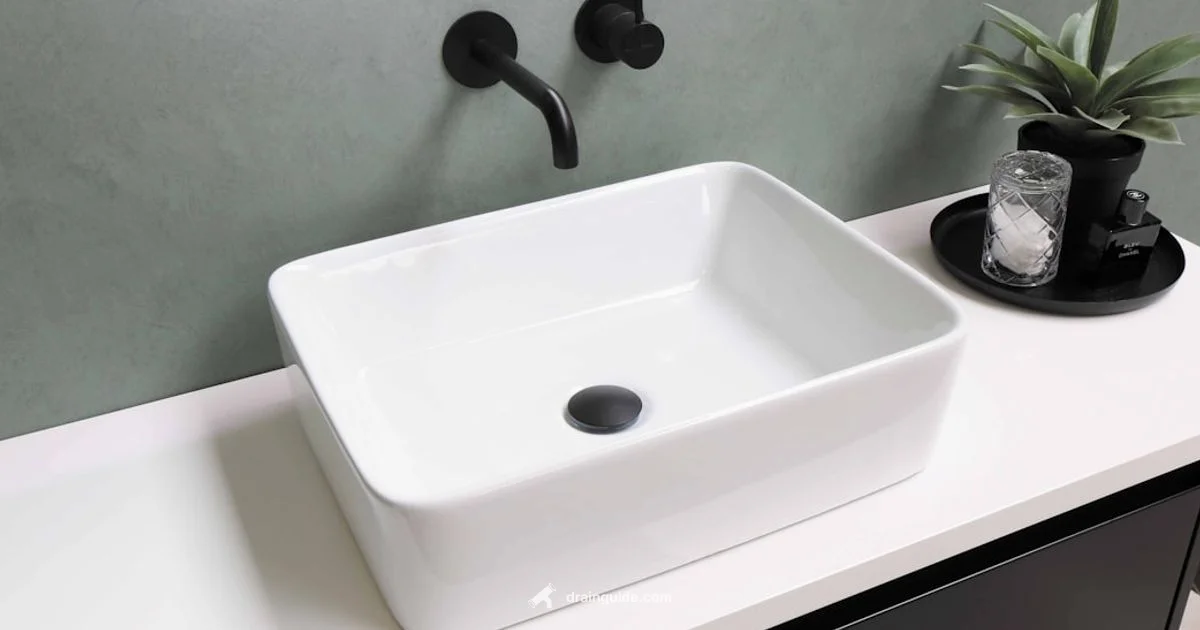 Drain Trap Essentials Drain Trap Essentials - Drain Guide