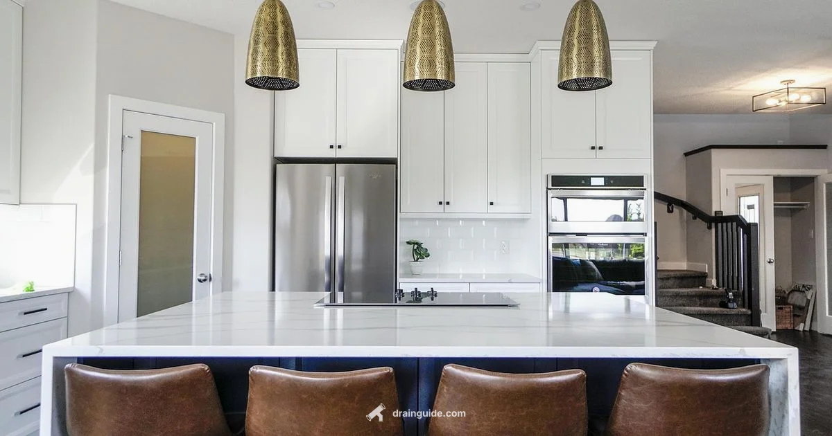 Dishwasher Drain Dishwasher Drain - Drain Guide