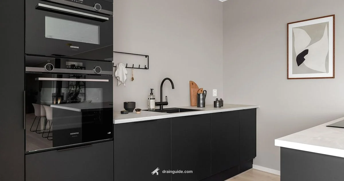 Trap Basics for Homeowners - Drain Guide