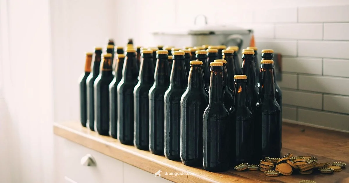 Mega Drain Review - Drain Guide