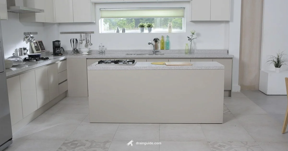 Emotional Drain Guide