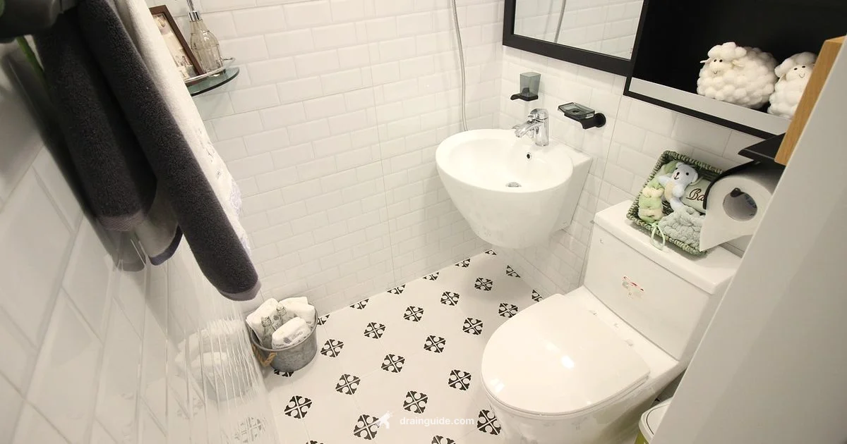 Drain Conversion Plan - Drain Guide