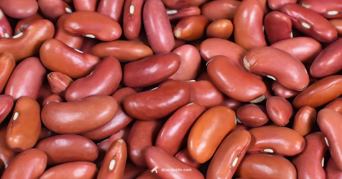 Drain Kidney Beans Drain Kidney Beans - Drain Guide