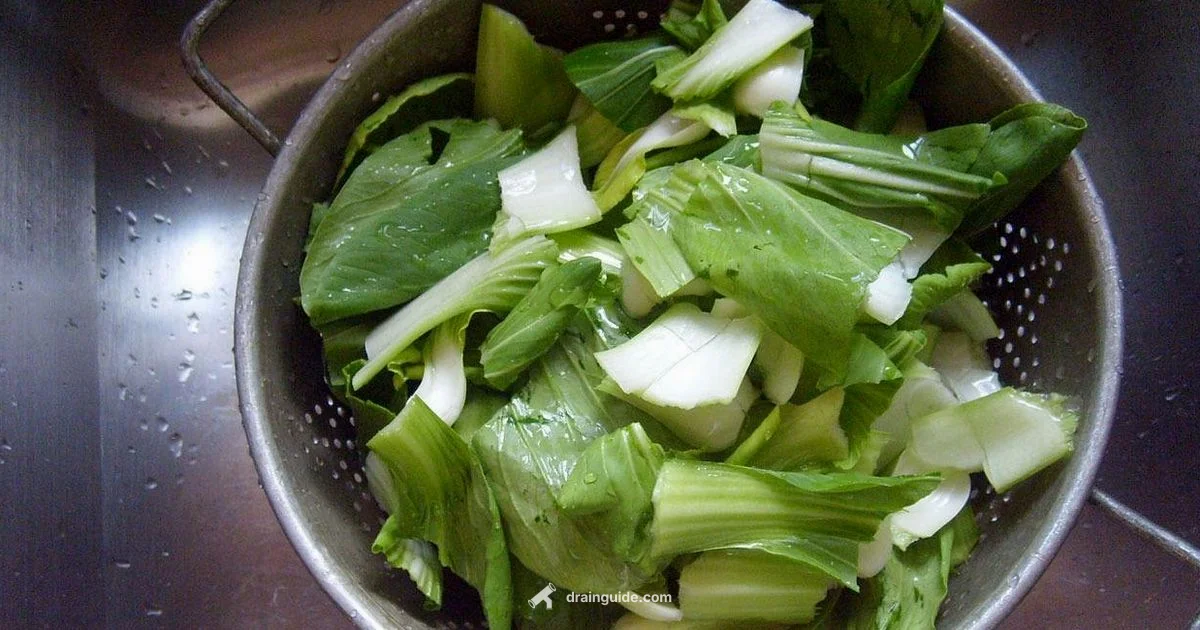 Bean Rinsing Guide - Drain Guide