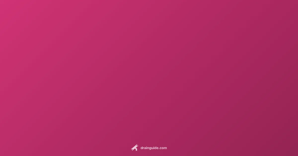 Drain Snakes Guide - Drain Guide (illustration)