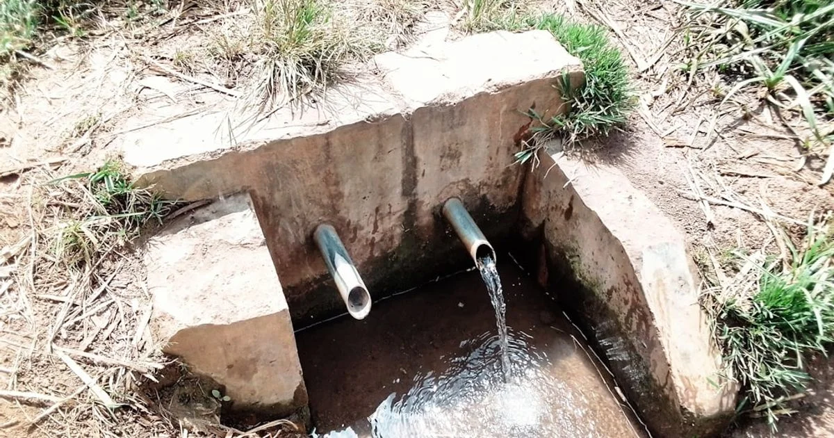 Drain Basics - Drain Guide