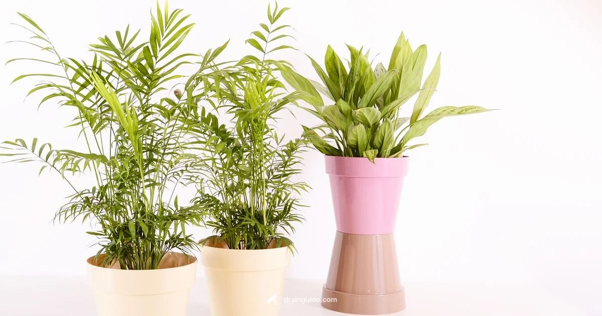 Drain Hole Guide Drain Hole Guide - Drain Guide