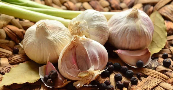 Fix Kitchen Odor - Drain Guide