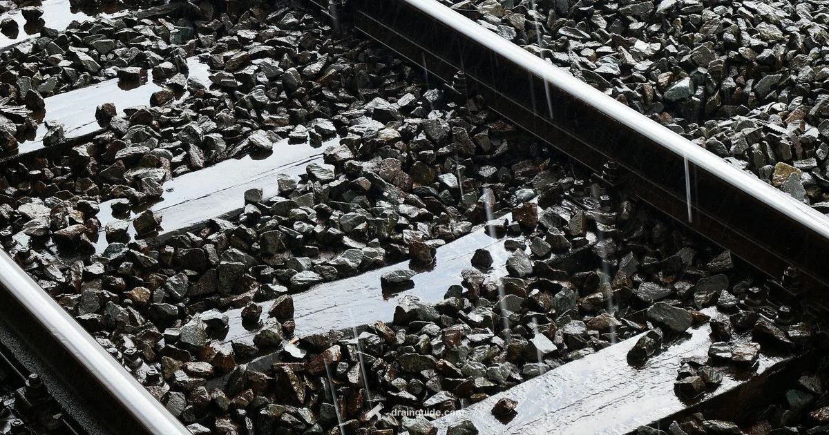 French Drain Setup French Drain Setup - Drain Guide