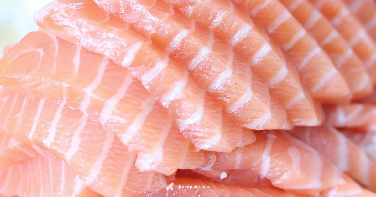 Drain Tuna - Drain Guide