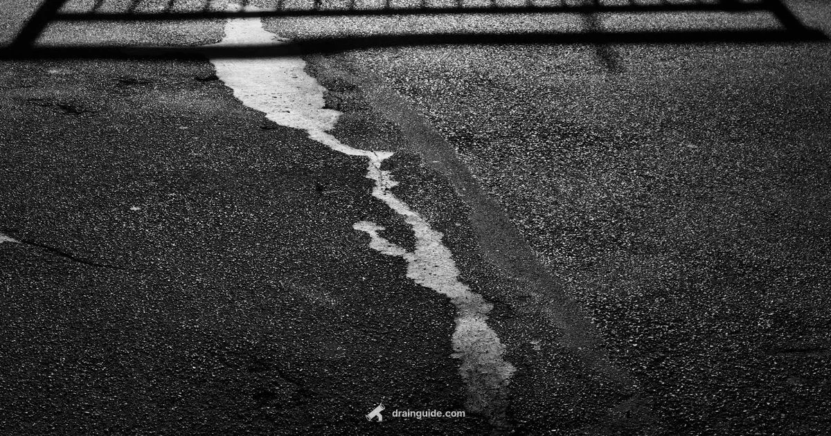 Storm Drain vs Sewer - Drain Guide
