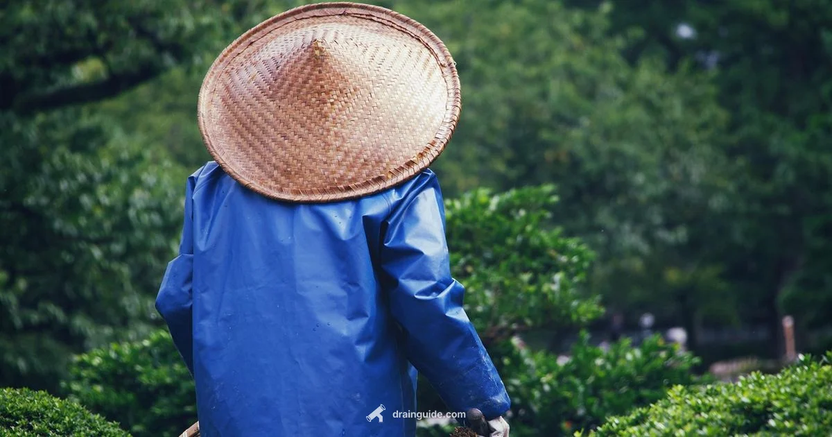 Yard Drainage Fix - Drain Guide