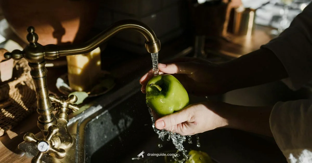 Odor-Free Sink - Drain Guide