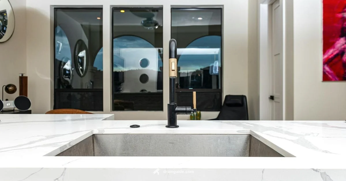 Replace Kitchen Drain - Drain Guide