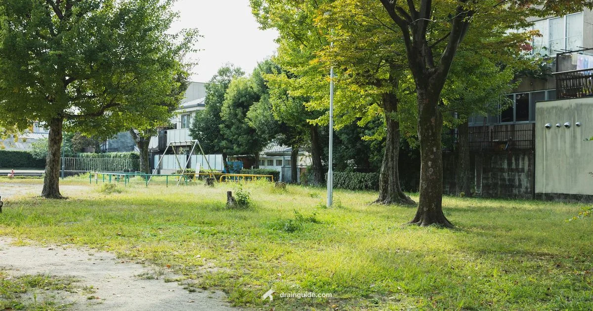 Drain Field Infiltrators - Drain Guide