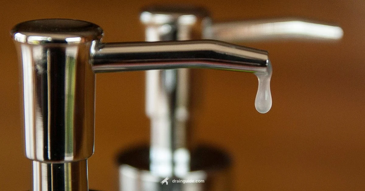 Toilet Cleaner Guide - Drain Guide