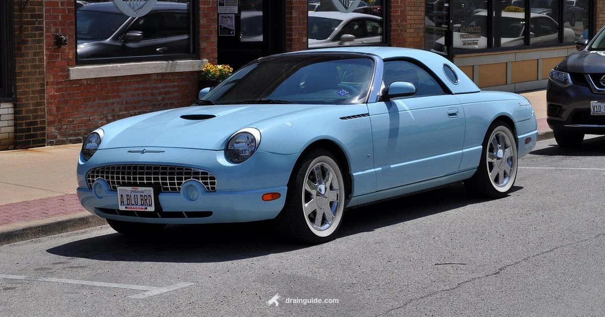 Drain Oil Explained Drain Oil Explained - Drain Guide