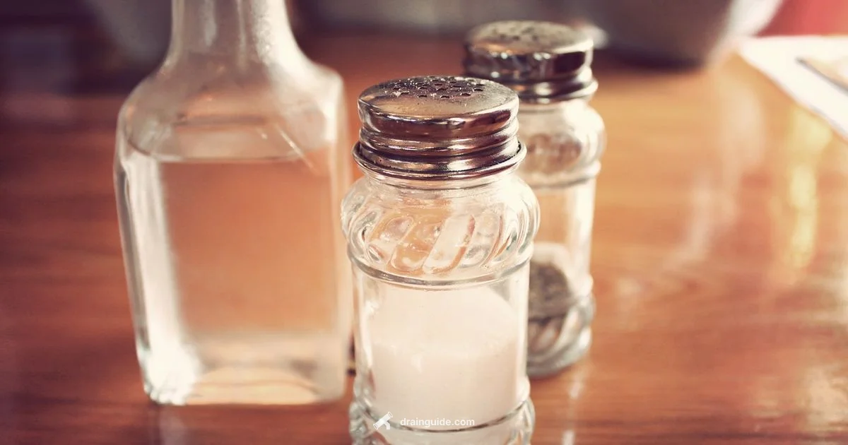 Vinegar Drain Guide Vinegar Drain Guide