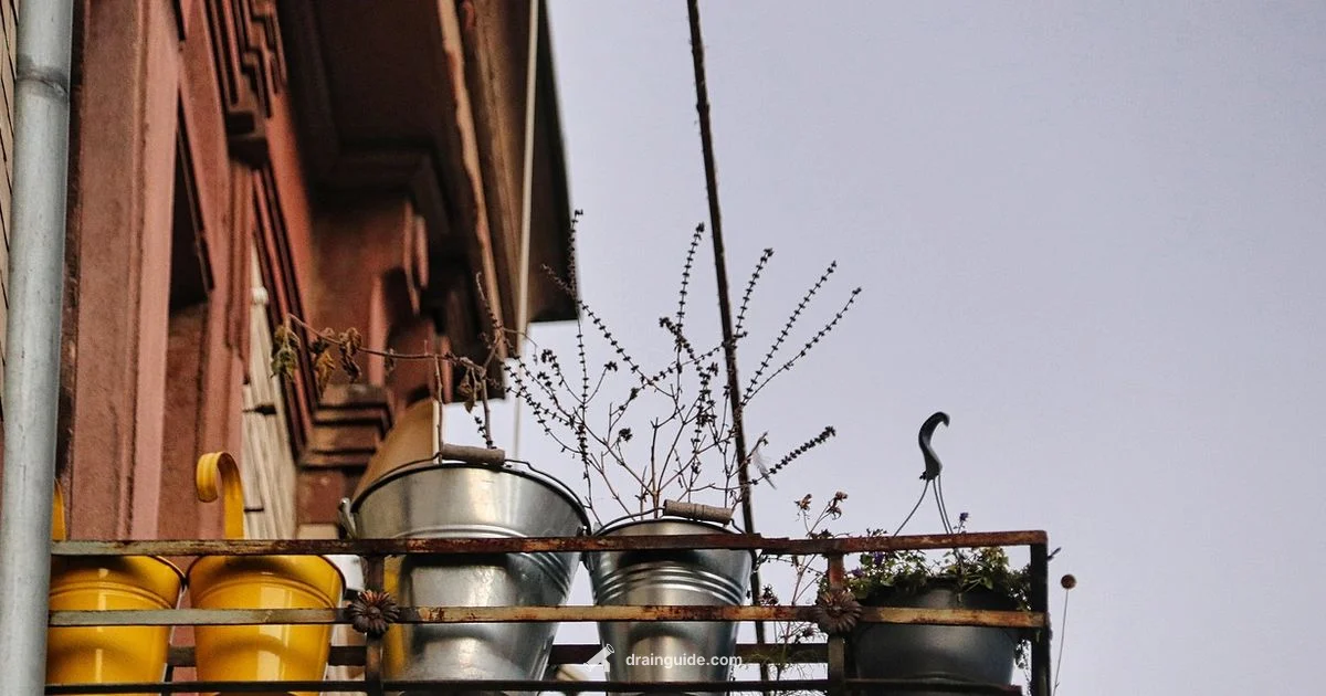 Best Pot Drainage - Drain Guide