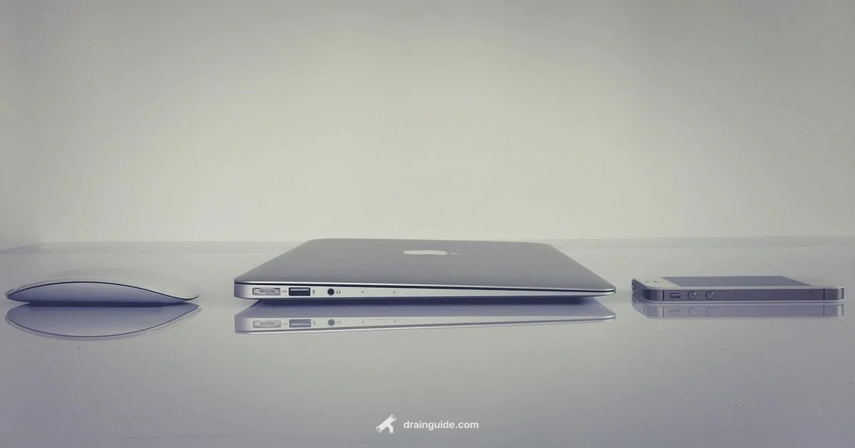 Battery Health Check - Drain Guide