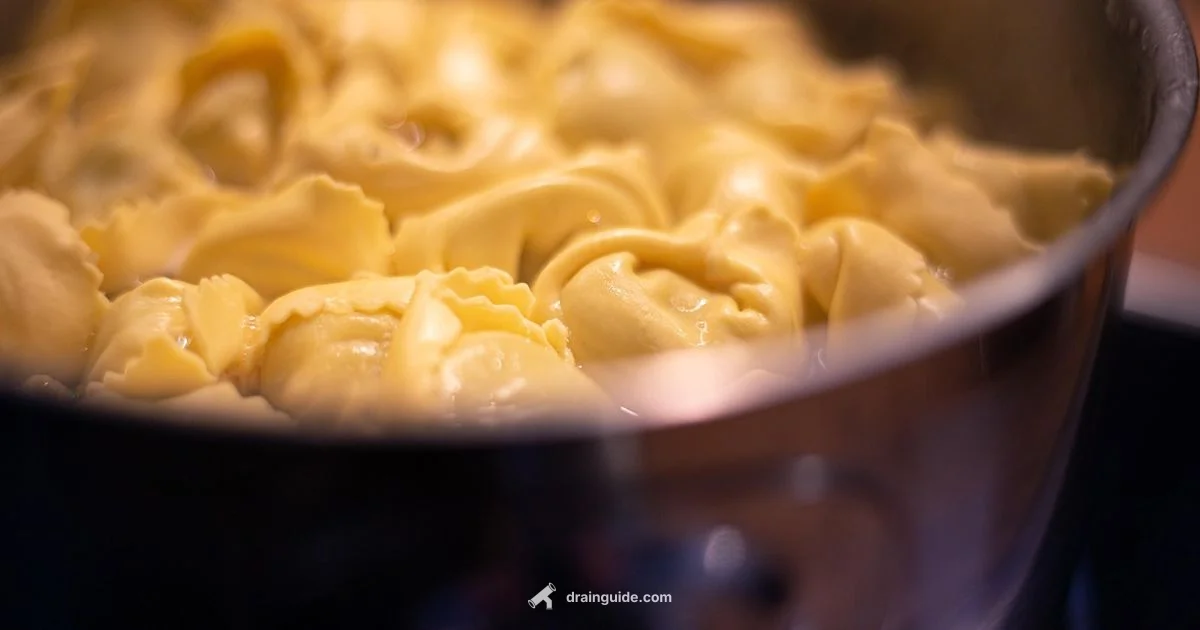 Over the Sink Drain Over the Sink Drain - Drain Guide