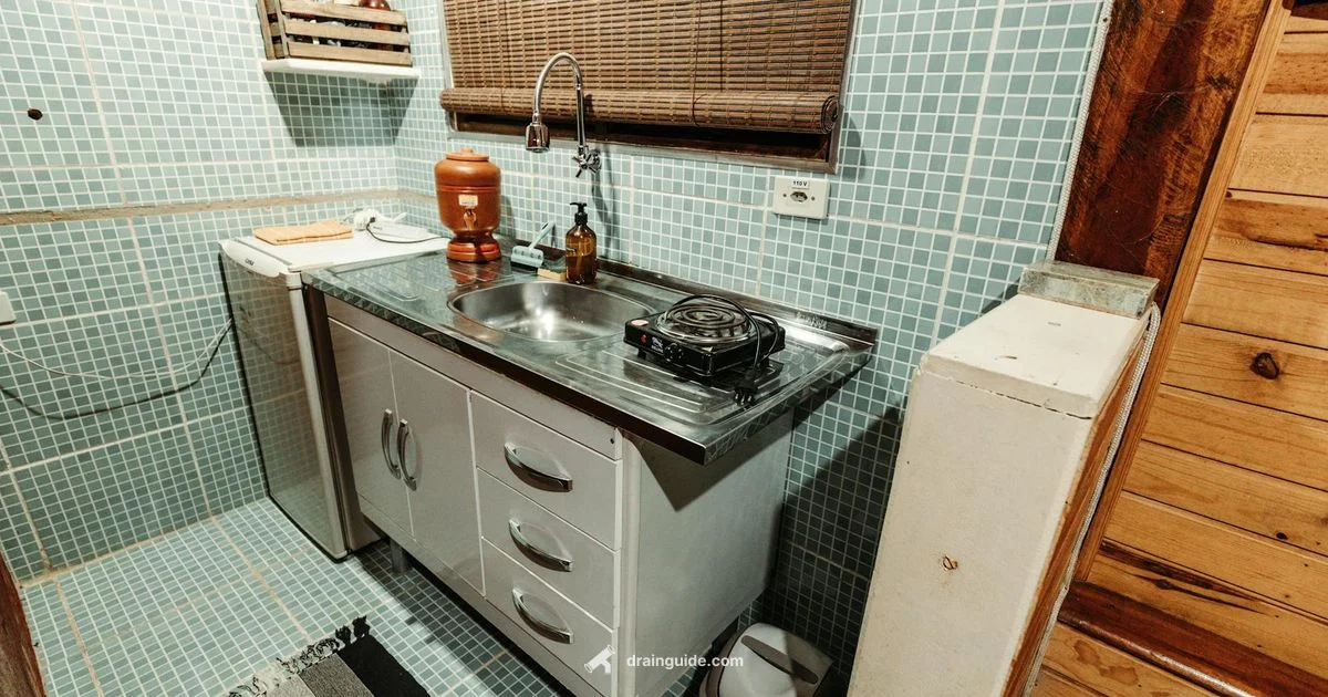 Prevent Drain Roaches - Drain Guide