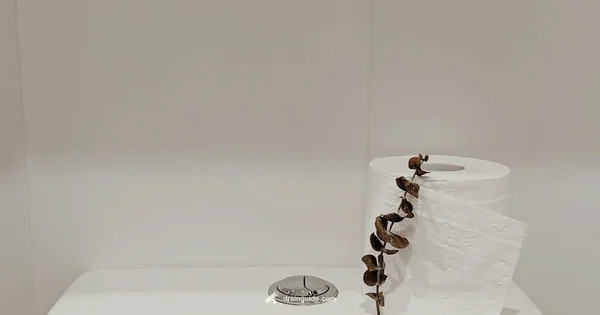 Drain a Toilet Guide - Drain Guide