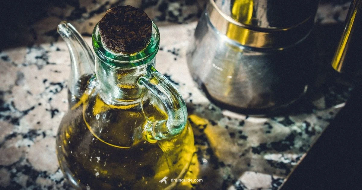 Oil Drain Care - Drain Guide