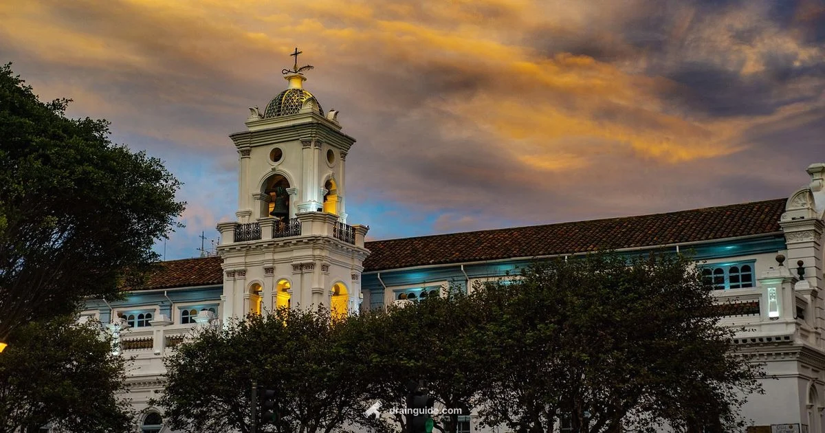 Catch Basin vs Drain Inlet - Drain Guide