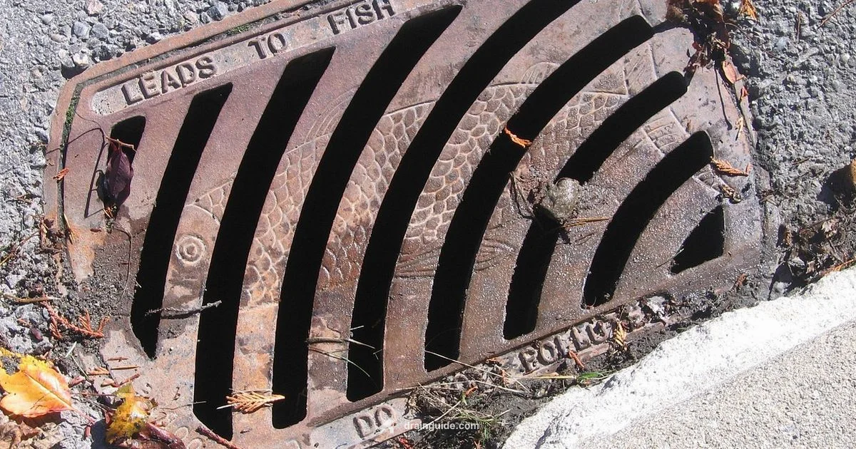 Drain Grate Essentials Drain Grate Essentials - Drain Guide
