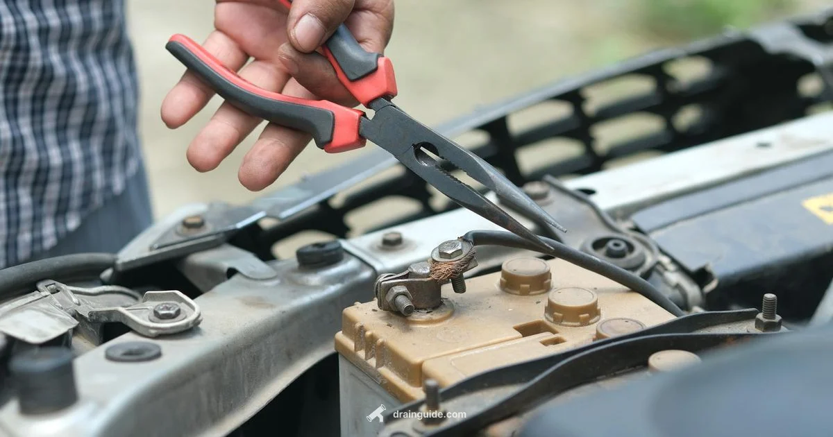 Drain Diagnosis - Drain Guide