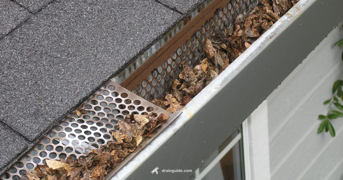 Gutter Drain Guide