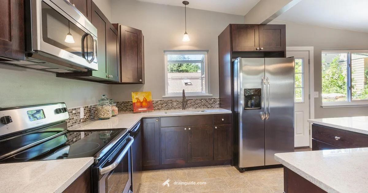 Drain Pump Repair - Drain Guide