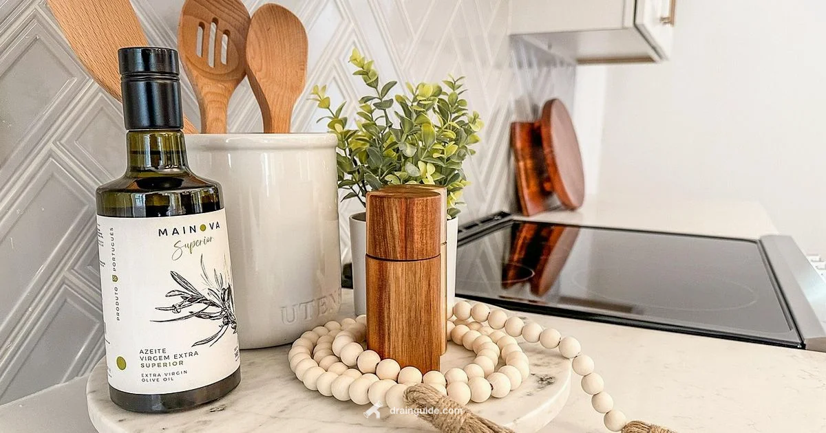 Clean Kitchen Drain - Drain Guide