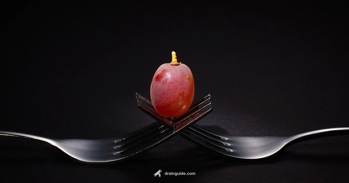 Drain Fly Fix - Drain Guide