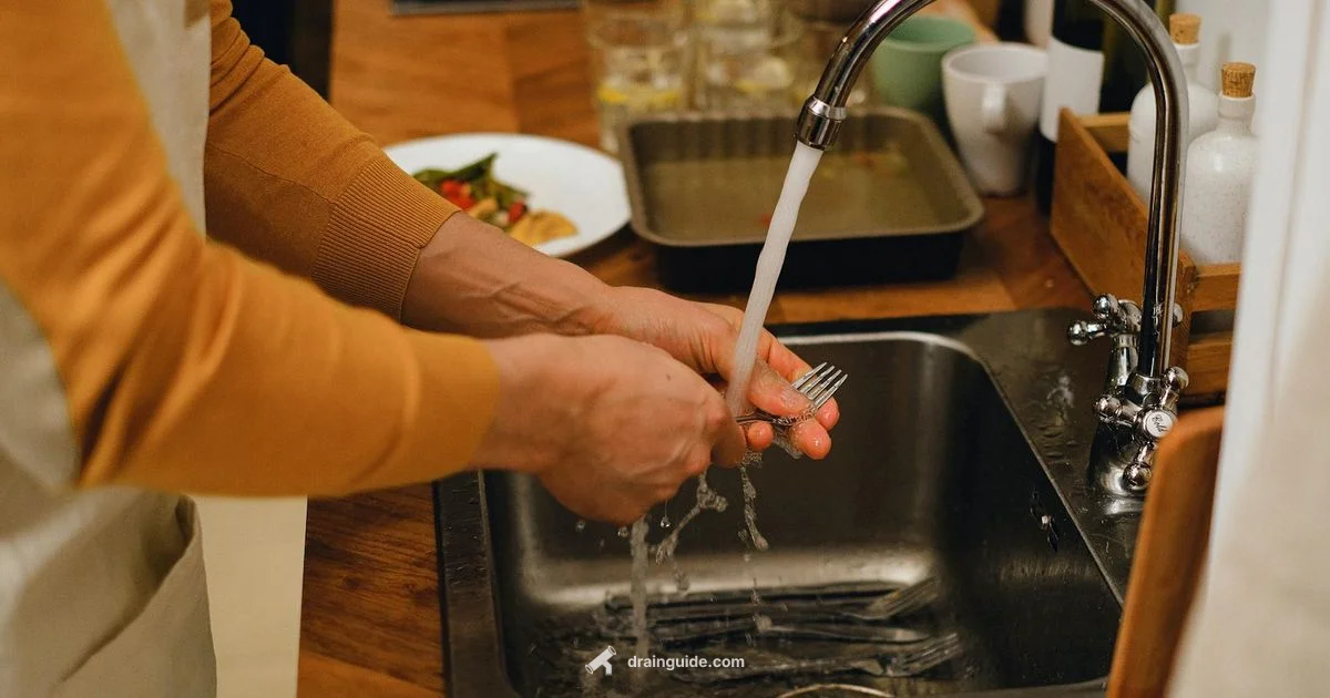 Drain vs Life Steal - Drain Guide