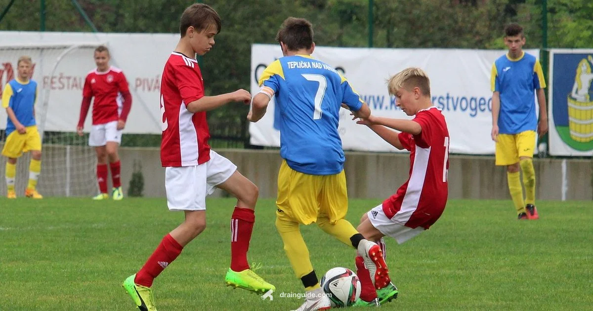 Drain vs Lifesteal Drain vs Lifesteal - Drain Guide